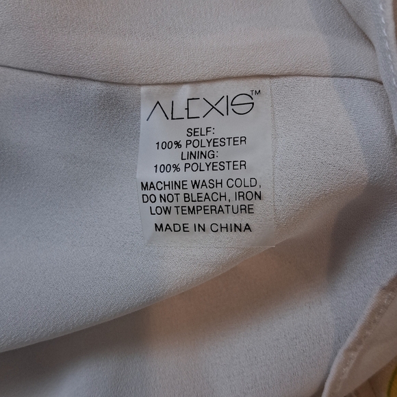 Alexis Rachael Mini Dress In Ivory Medallion Retail$396 NWOT Size Small - Picture 10 of 13